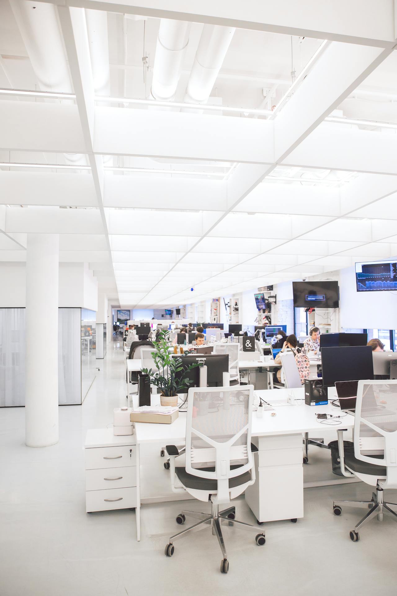 Office Space Photo by Polina Zimmerman